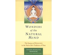 KNYGA Bookshop Wonders of the Natural Mind