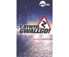 KNYGA Bookshop Y Bywyd Gwallgo!