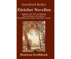 KNYGA Bookshop Zuricher Novellen (Großdruck)