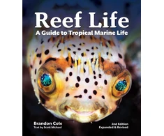 KNYGA Brandon Cole Reef Life