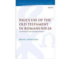 KNYGA Brian J Abasciano Paul’s Use of the Old Testament in Romans 9:19-24