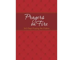 KNYGA Brian Simmons Prayers on Fire: 365 Days Praying the Psalms