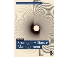 KNYGA Brian Tjemkes Strategic Alliance Management
