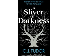 KNYGA C J Tudor Sliver of Darkness