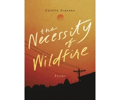 KNYGA Caitlin Scarano Necessity of Wildfire