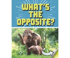 KNYGA Cari Meister What's the Opposite?