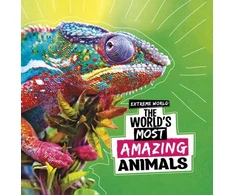 KNYGA Cari Meister World's Most Amazing Animals