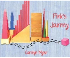 KNYGA Carolyn Myer Rožinė's Journey