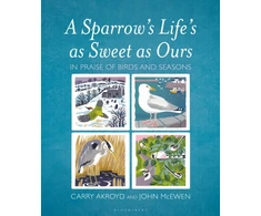 KNYGA Carry Akroyd Sparrow's Life's as Sweet as Ours