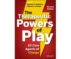 KNYGA Charles E Schaefer The Therapeutic Powers of Play