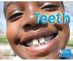 KNYGA Charlotte Guillain PYP L7 Teeth 6PK