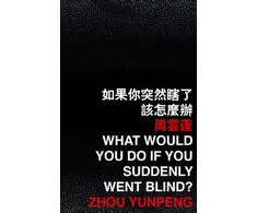 KNYGA KONG What Would You Do If You Suddenly Went Blind?