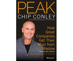 KNYGA Chip Conley PEAK