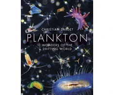 KNYGA Christian Sardet Plankton