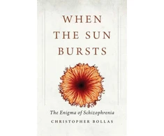 KNYGA Christopher Bollas When the Sun Bursts