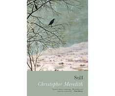 KNYGA Christopher Meredith Vis tiek