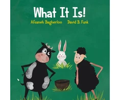 KNYGA David B Funk What It Is!
