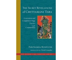 KNYGA David Gonsalez Secret Revelations of Chittamani Tara