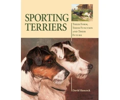 KNYGA David Hancock Sporting Terriers