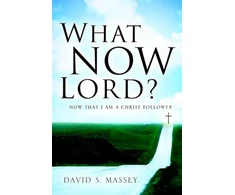 KNYGA David S Massey What Now Lord?