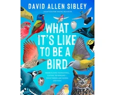 KNYGA David Sibley What It's Like to Be a Bird (Adapted for Young Readers)