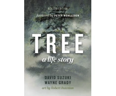 KNYGA David T Suzuki Medis