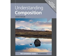 KNYGA David Taylor Understanding Composition