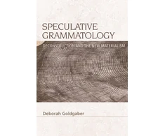 KNYGA Deborah Goldgaber Speculative Grammatology