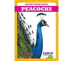 KNYGA Deniston Peacocks