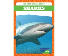 KNYGA Deniston Sharks