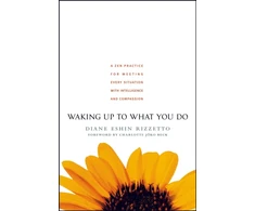 KNYGA Diane Eshin Rizzetto Waking Up to What You Do
