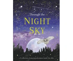 KNYGA Dk Publishing Through the Night Sky