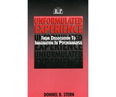 KNYGA Donnel B Stern Unformulated Experience