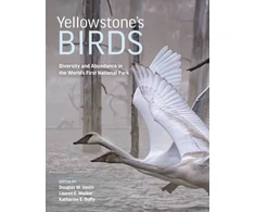 KNYGA Douglas W Smith Yellowstone’s Birds