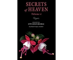 KNYGA Emanuel Swedenborg Secrets of Heaven Volume 6