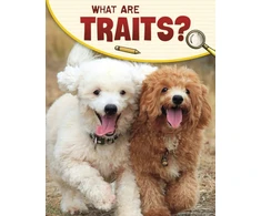 KNYGA Emily Sohn What Are Traits?