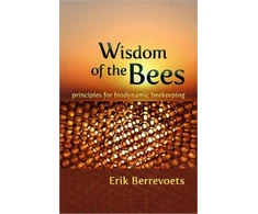 KNYGA Erik Berrevoets Wisdom of Bees