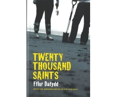 KNYGA Fflur Dafydd Twenty Thousand Saints
