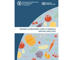 KNYGA Food and Agriculture Organization of the United Nations Regimes alimentaires sains et durables