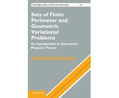 KNYGA Francesco Maggi Sets of Finite Perimeter and Geometric Variational Problems
