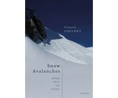 KNYGA Francois Louchet Snow Avalanches