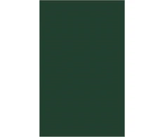 KNYGA Gabriel J Chin Origins of Constitutional Immigration Law