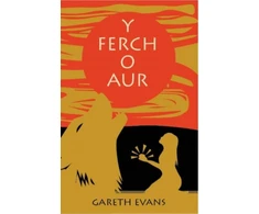 KNYGA Gareth Evans Y Ferch o Aur