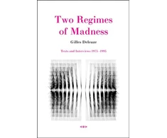 KNYGA Gilles Deleuze Two Regimes of Madness