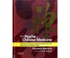 KNYGA Giovanni Maciocia Psyche in Chinese Medicine