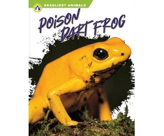 KNYGA Golriz Golkar Poison Dart Frog