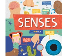 KNYGA Harriet Brundle Senses