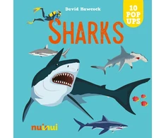 KNYGA Hawcock David Sharks
