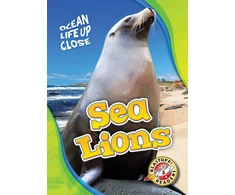 KNYGA Heather Adamson Sea Lions