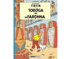 KNYGA Herg Tintin: Todoga Na Bhfaronna (Irish)